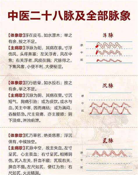 脈相 浮滑|中醫詳解：脈象之浮、沉、滑、數